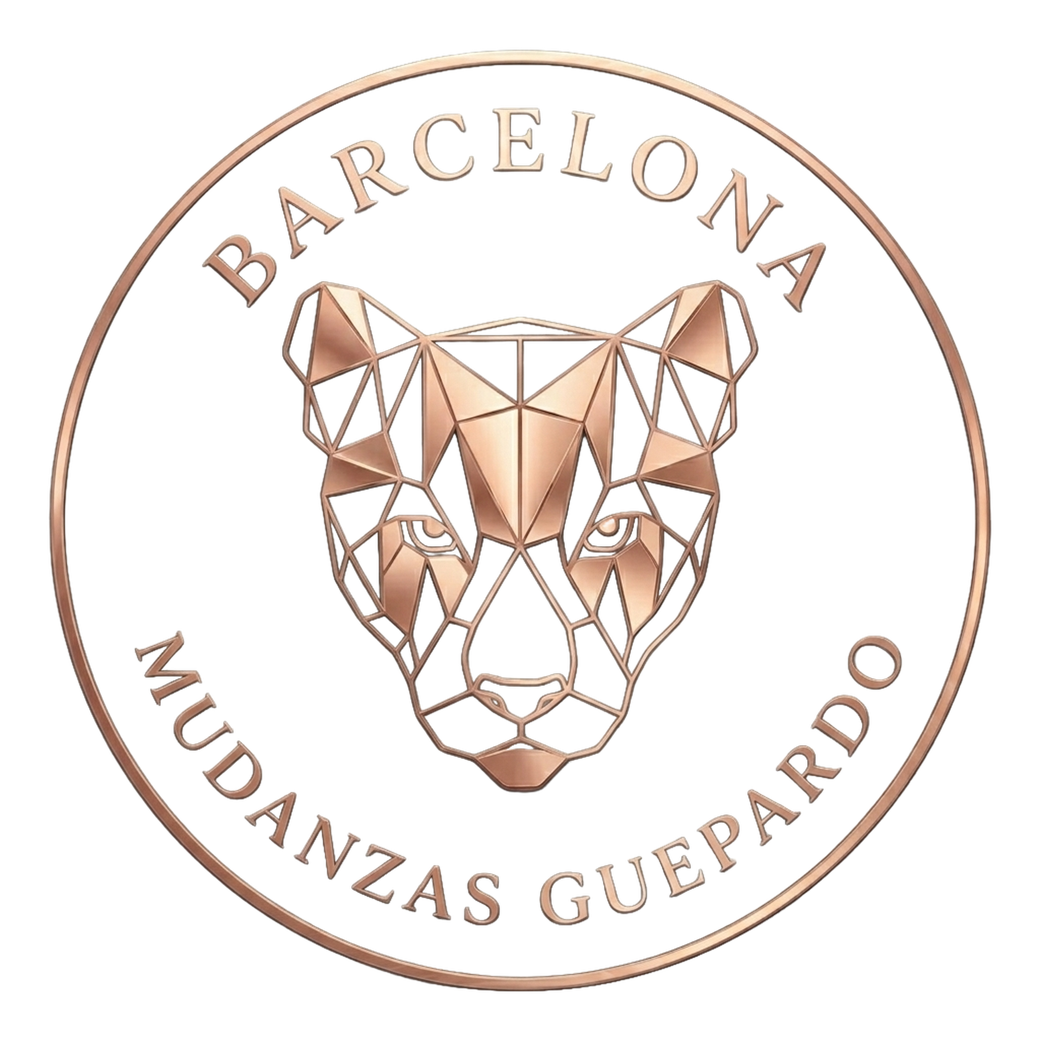 En Mudanzas Guepardo Store